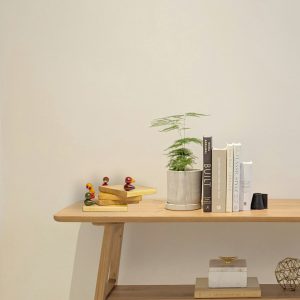 Channapatna Square Bird Wooden Coasters set of 4