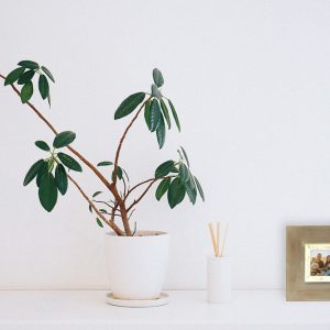 Beautiful wooden photo frame 1